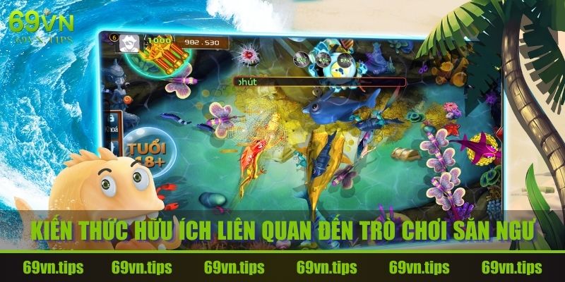 game-ban-ca-rut-tien-mat-69vn-kien-thuc-huu-ich